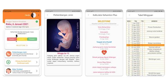 Aplikasi Tes Kehamilan Kalkulator Kehamilan Plus