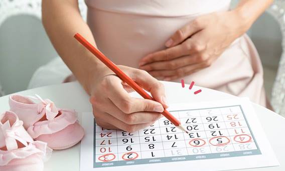 Fungsi Kalender Usia Kehamilan Dan Cara Menggunakannya