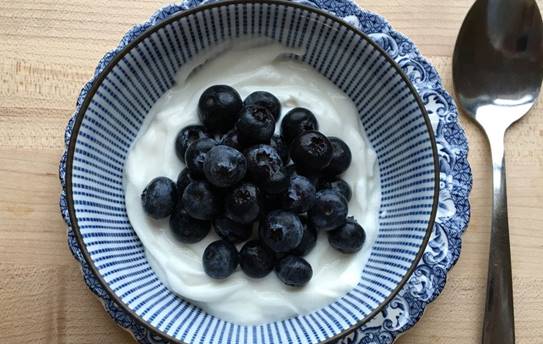 Cemilan Untuk Diet Greek Yogurt Blueberry