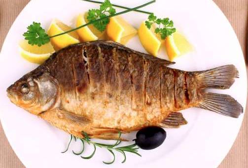 Makanan Untuk Diet Ikan