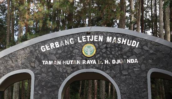 Destinasi Tempat Wisata Bandung Taman Hutan Raya Ir. H. Djuanda