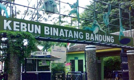 Tempat Wisata Bandung Murah Kebun Binatang Bandung