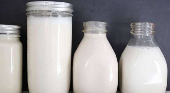 Rekomendasi Merk Susu Diet Terbaik Untuk Kurangi Berat Badan