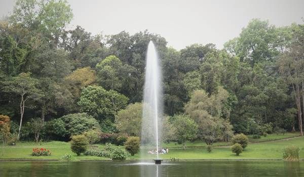 Tempat Wisata Di Cianjur Kebun Raya Cibodas