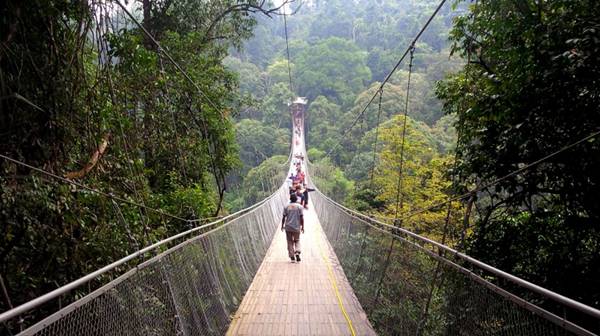 Tempat Wisata Di Cianjur Taman Nasional Gunung Gede Pangrango