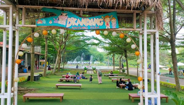 Tempat Wisata Di Depok D’Kandang Amazing Farm