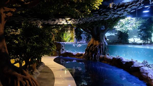 Tempat Wisata Di Jakarta Jakarta Aquarium & Safari