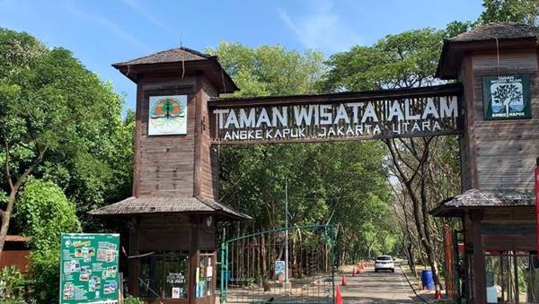 Tempat Wisata Di Jakarta Taman Wisata Alam Mangrove Angke Kapuk
