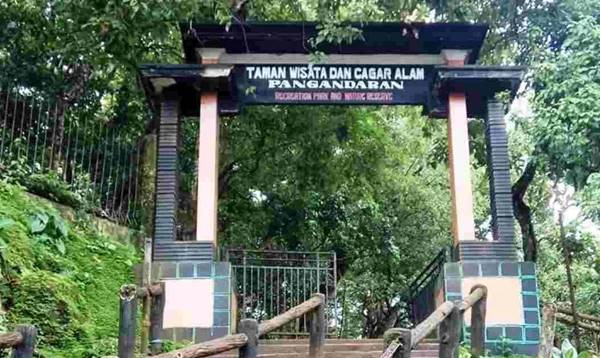 Tempat Wisata Di Pangandaran Cagar Alam Pananjung