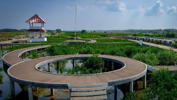 Tempat Wisata Di Tangerang Taman Wisata Alam Mangrove Ketapang