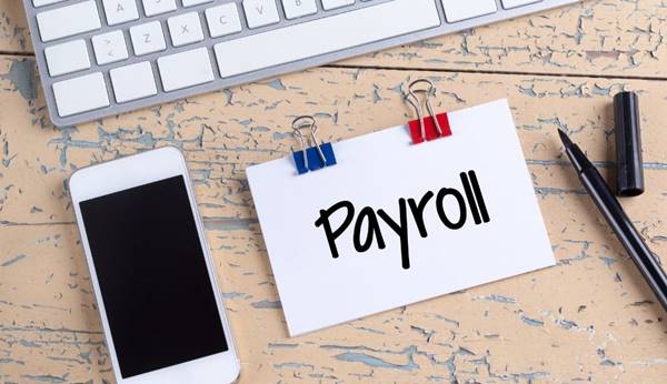 Apa Itu Payroll Staff