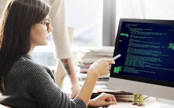 Apa Itu Programmer