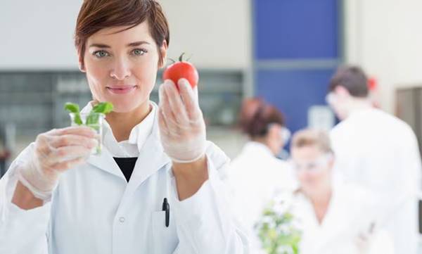 Peluang Jenjang Karir Food Scientist