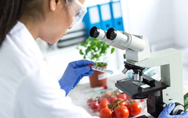 Skill Keterampilan Yang Dibutuhkan Food Scientist