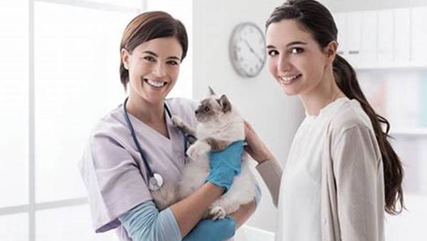 Tips Menjadi Seorang Dokter Hewan Yang Profesional