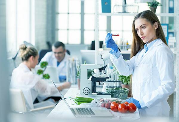 Tugas Dan Tanggung Jawab Food Scientist