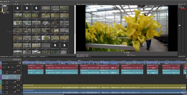 Aplikasi Utama Dalam Sony Vegas Pro 17