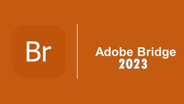 Apa Itu Adobe Bridge 2023