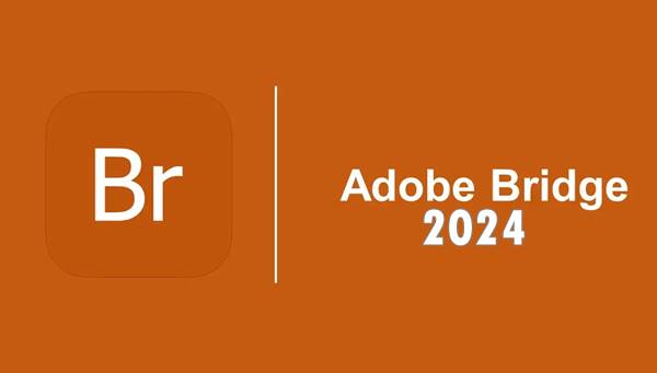 Apa Itu Adobe Bridge 2024