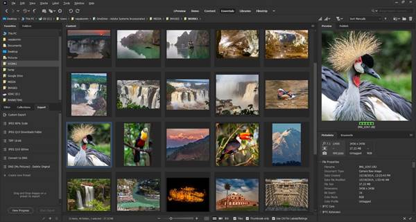 Aplikasi Utama Dalam Adobe Bridge 2023