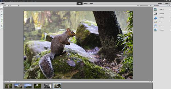 Aplikasi Utama Dalam Adobe Photoshop Elements 2020